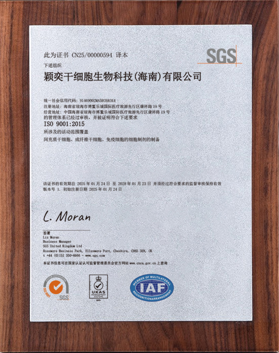 ISO9001国际管理体系认证